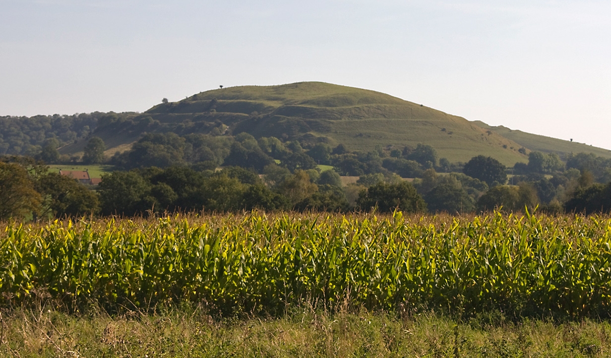Hambledon Hill - Flickr/Marilyn Peddle