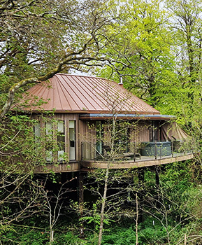 Richmond Bell Architects visit to the New Forest, Hampshire